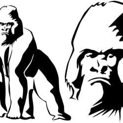 Gorilla – Freie Arbeit