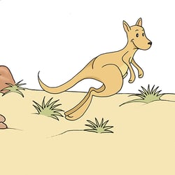 Illustration Känguruh
