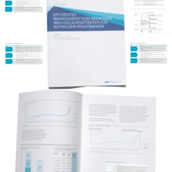 Grafik Design / Printmedien