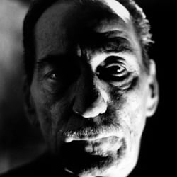 Portrait Mann