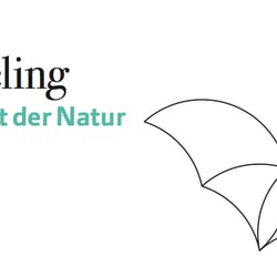 Logo und CD beautywellfeeling 2