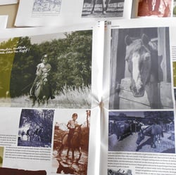 »Weg-Be-Reiter« Zeitungsseite