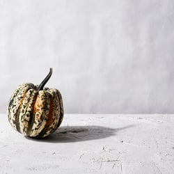 Autumn Editorial – Pumpkin