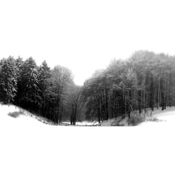 winter gr log