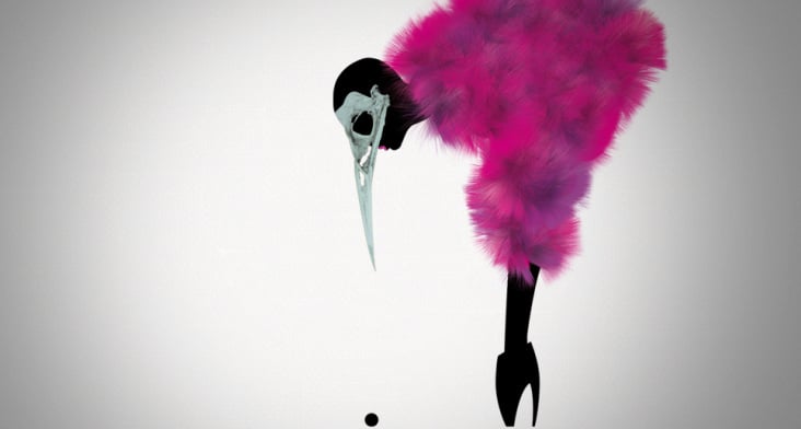 Pink Bird