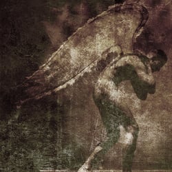 Ikarus/Angel