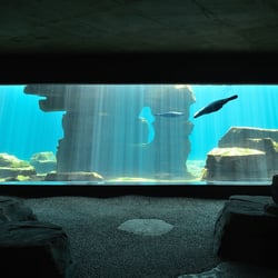 Eismeer Hagenbeck-Hamburg