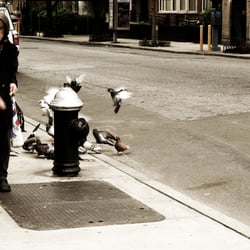 New York, NY