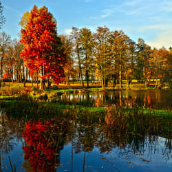 Herbst