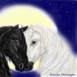 Coverillustration eines Kinderbuches
