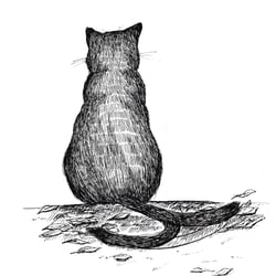 Illustration Katze von hinten