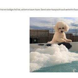 Mrcrumble2