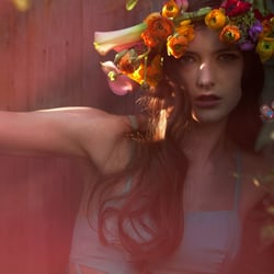 andrei zach / portfolio