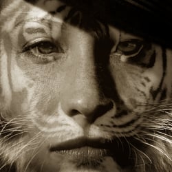 Dana Tiger