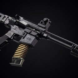 Zm Lr-300