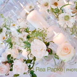 Rea Papke Photography