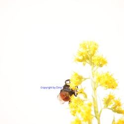 Nature – 2014 Foto Übungen