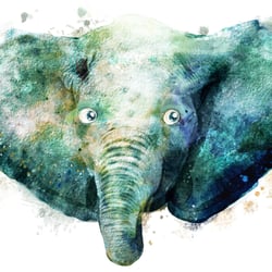 Elefant Portrait Illustration