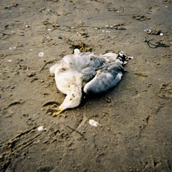 The Lonely Day At Sea