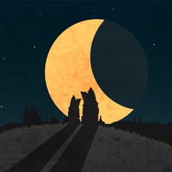 Vector Illustrationen
