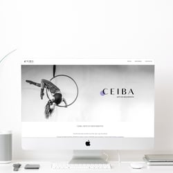Ceiba Aerial Dance