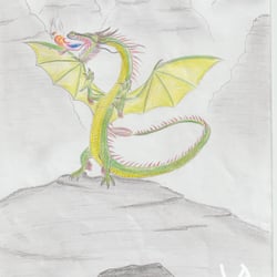 Drache