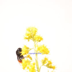 Nature 2014 Foto Übung