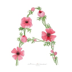 Anemonen