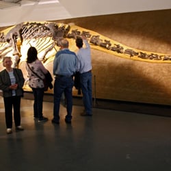 Ausstellungsdesign4-apriori-design