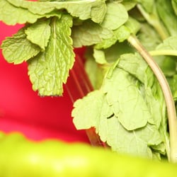 Food Photography 2012