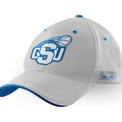 FlexFit Cap