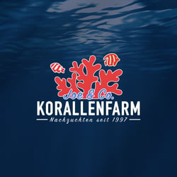 KORALLENFARM JOE & CO 01