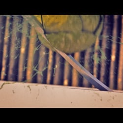 Still aus meinem Animations-Reel