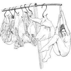fleisch
