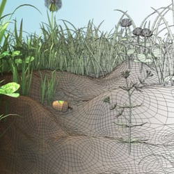 COOP Denmark Growing Tree Animation