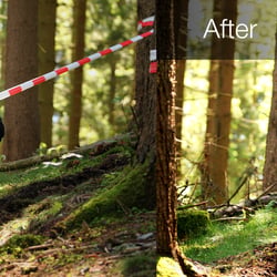 Photoshop – Bildbearbeitung und Retusche