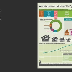 Infografik erstellt in Illustrator CC, basierend auf Excel-Daten