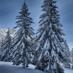 1756 Klosters