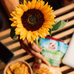 Bilderwelt Swissper – Micro-Influencer Plattform