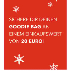 Poster Eröffnungsevent Branding