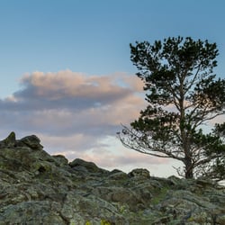 baikal