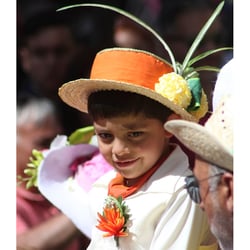 Festa do Flor