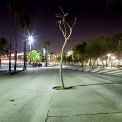 astrid wolff photographie