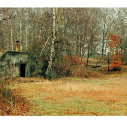 Die Heide lebt