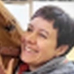 Chiropraktik für Tiere – UX / UI Design
