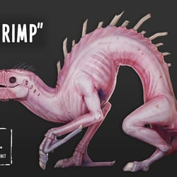 The Shrimp | 3d Modell