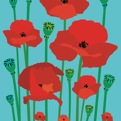 Kunstpostkarte – Mohnblumen / Vektorgrafik