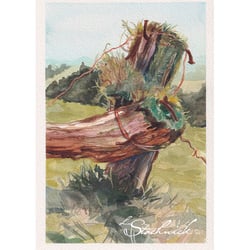 Weidenzaun 15 × 21 cm