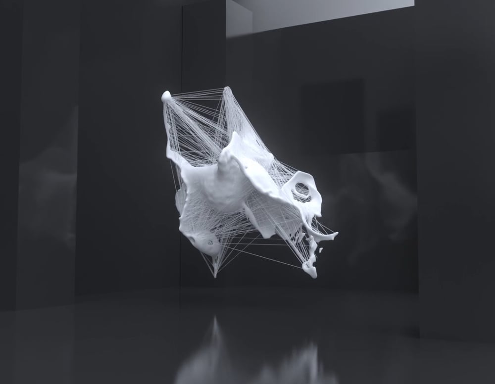 Partikel Simulation „Schwan“