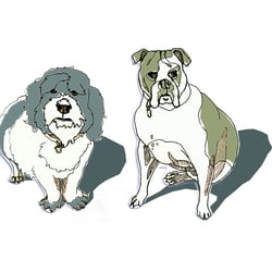 Hunde